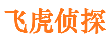 卢氏市侦探公司